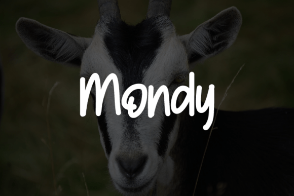 Mondy: A Real-World Designer Review